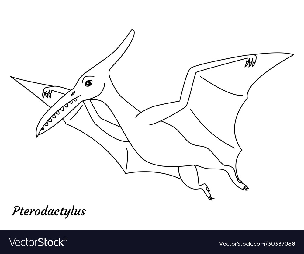 Dinosaur pterodactyloidea coloring page Royalty Free Vector