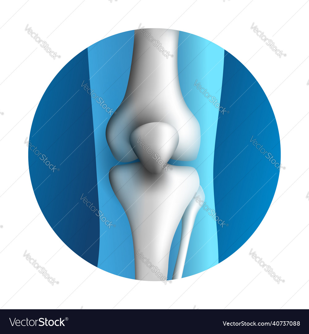 Knee synovial joint 3d icon Royalty Free Vector Image