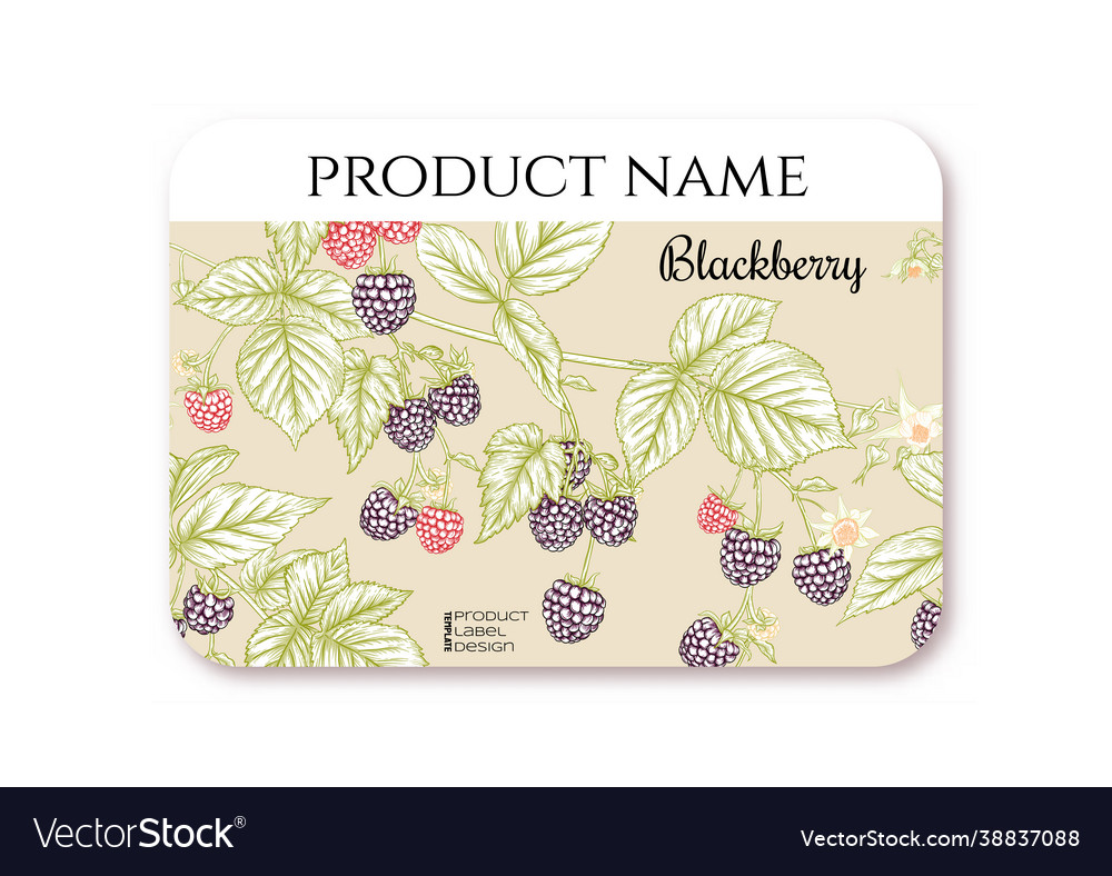 Raspberry ripe berries on branch template