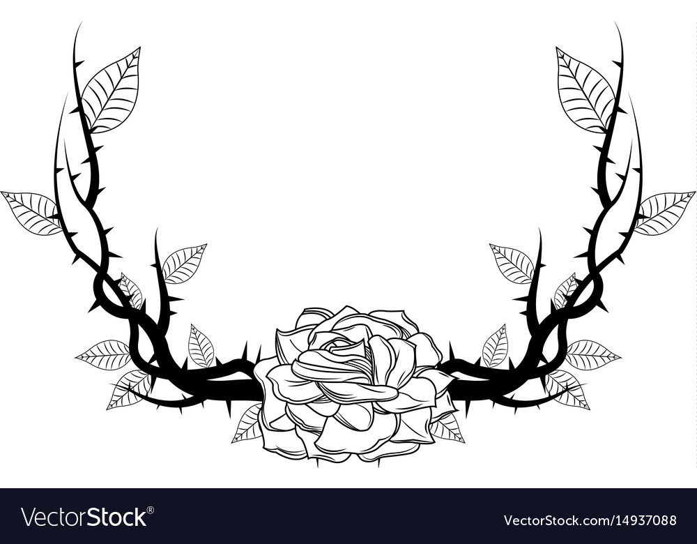 pic Thorn Branch Drawing vectorstock