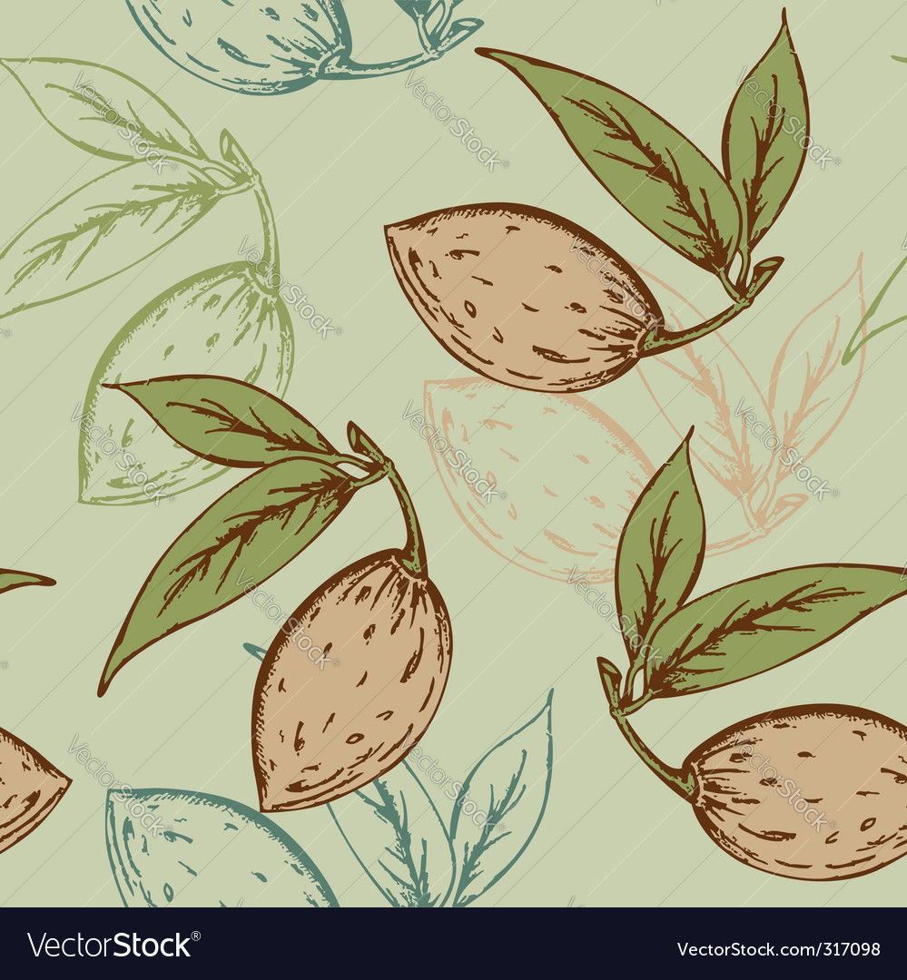 Almond pattern Royalty Free Vector Image - VectorStock