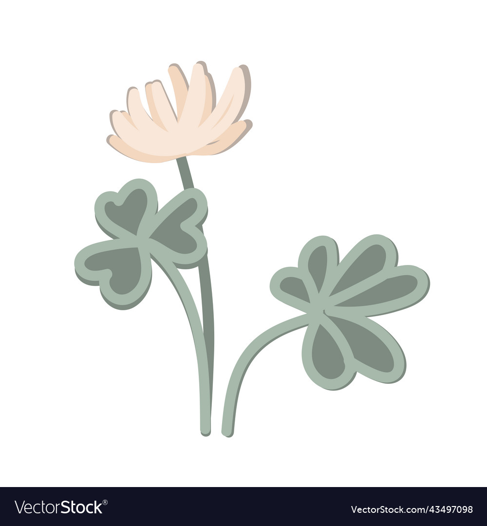 Hand-drawn clover plant with leaves and flower