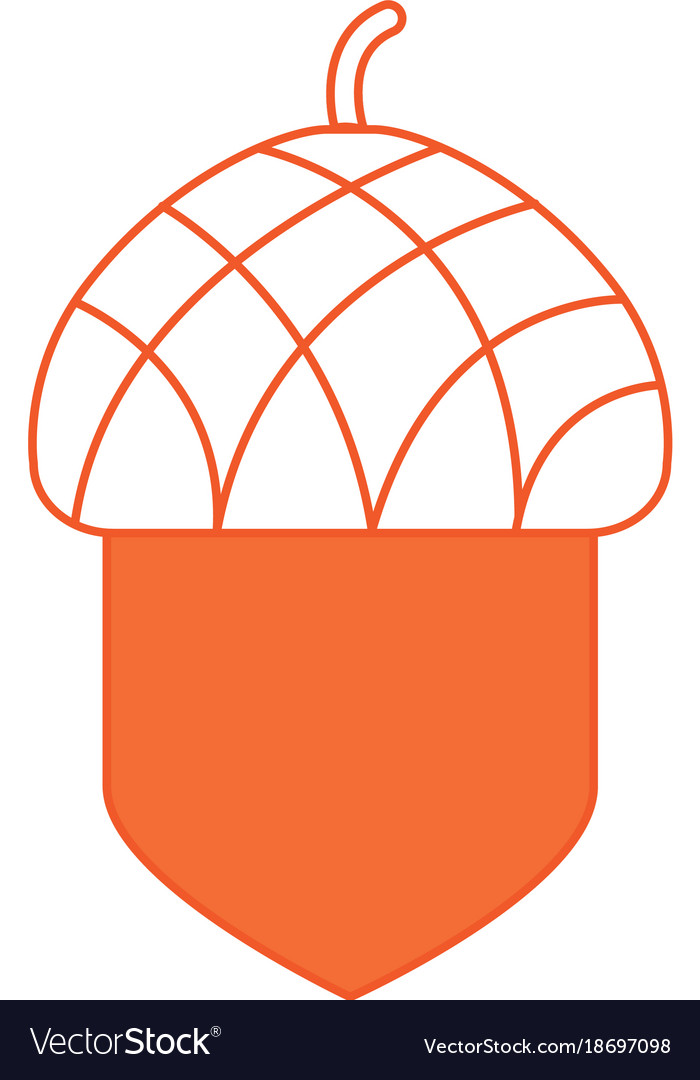 Isolated acorn design