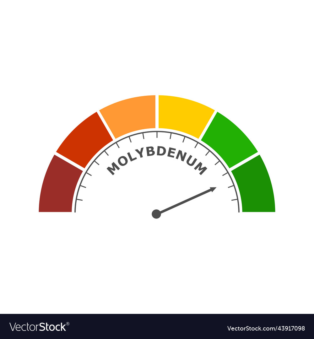 Molybdenum level abstract scale food value vector image Molybdenum level abstract scale food value