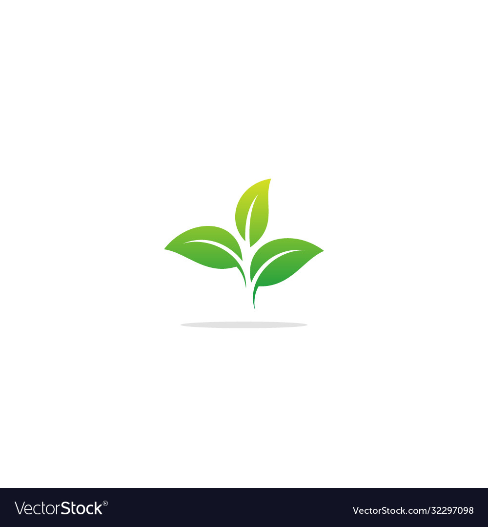 Plant seed green leaf logo Royalty Free Vector Image