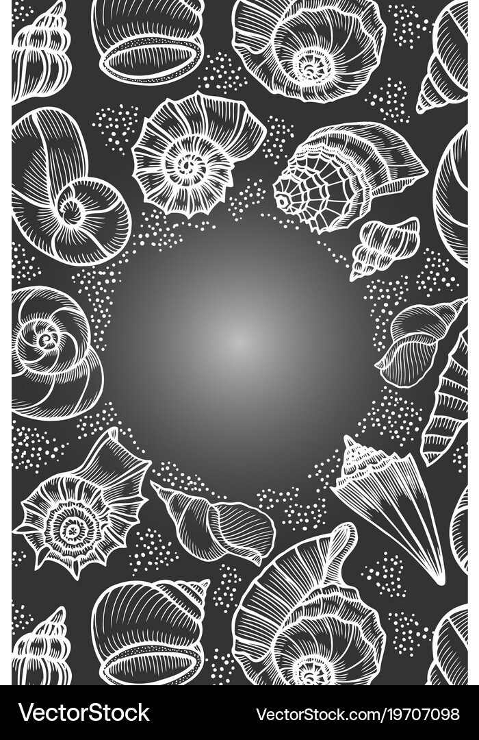 Seashells hand drawn Royalty Free Vector Image