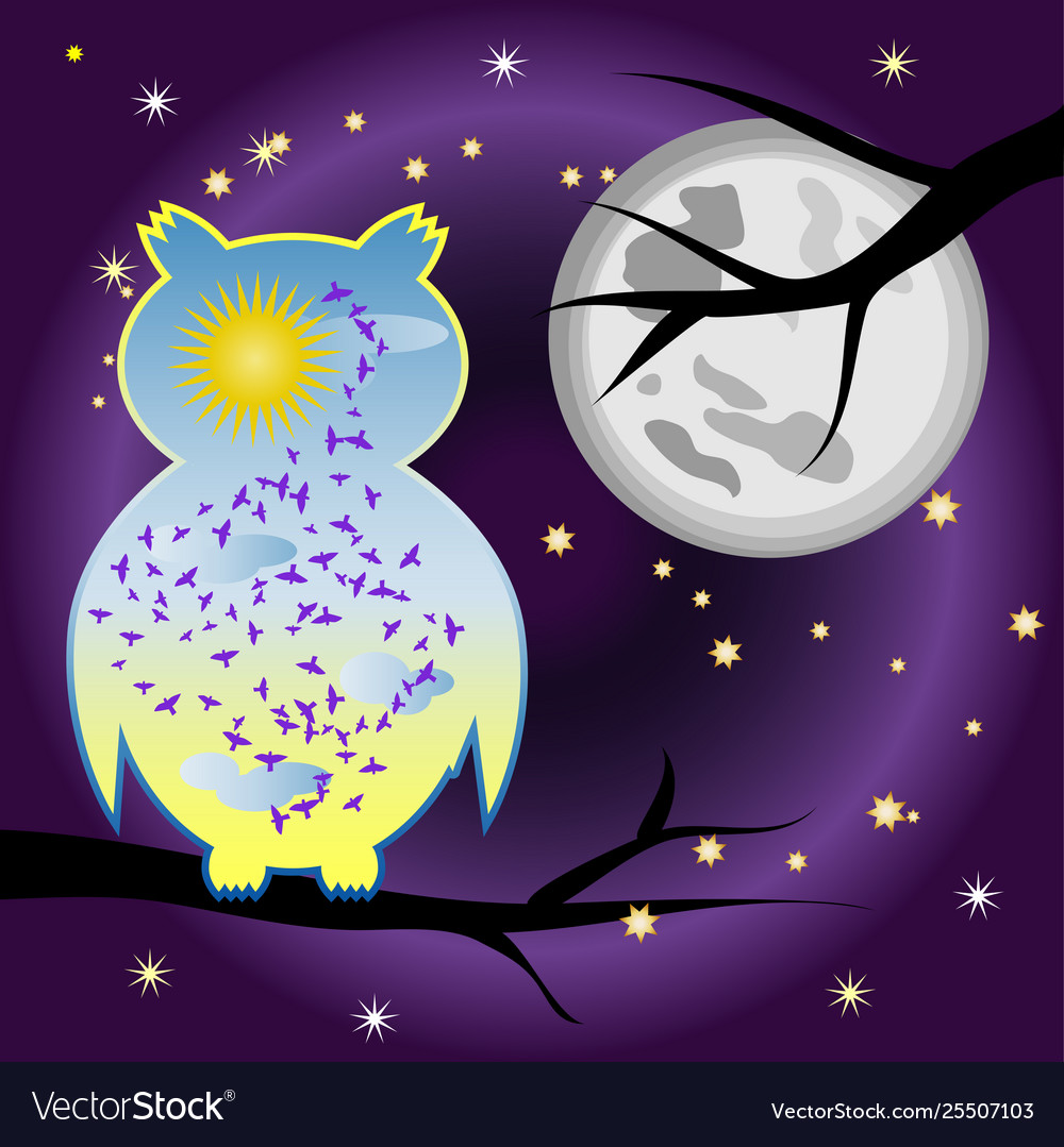 Concept night for an owl is a day silhouette