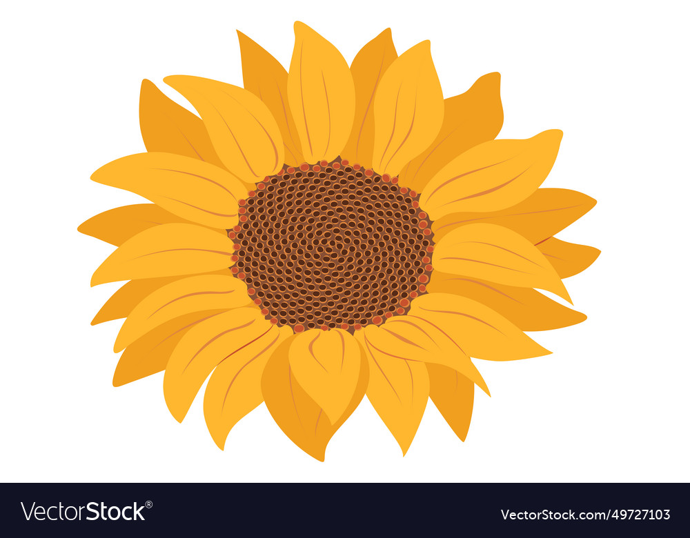 Isolated Sunflower Icon