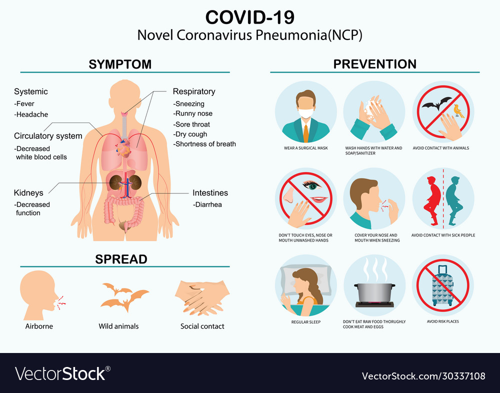 Covid19-19 virus 2019-ncov disease prevention vector image Covid19-19 virus 2019-ncov disease prevention