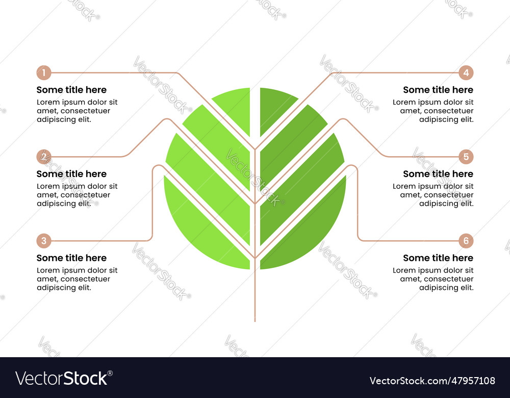 Infographic template abstract tree in a circle