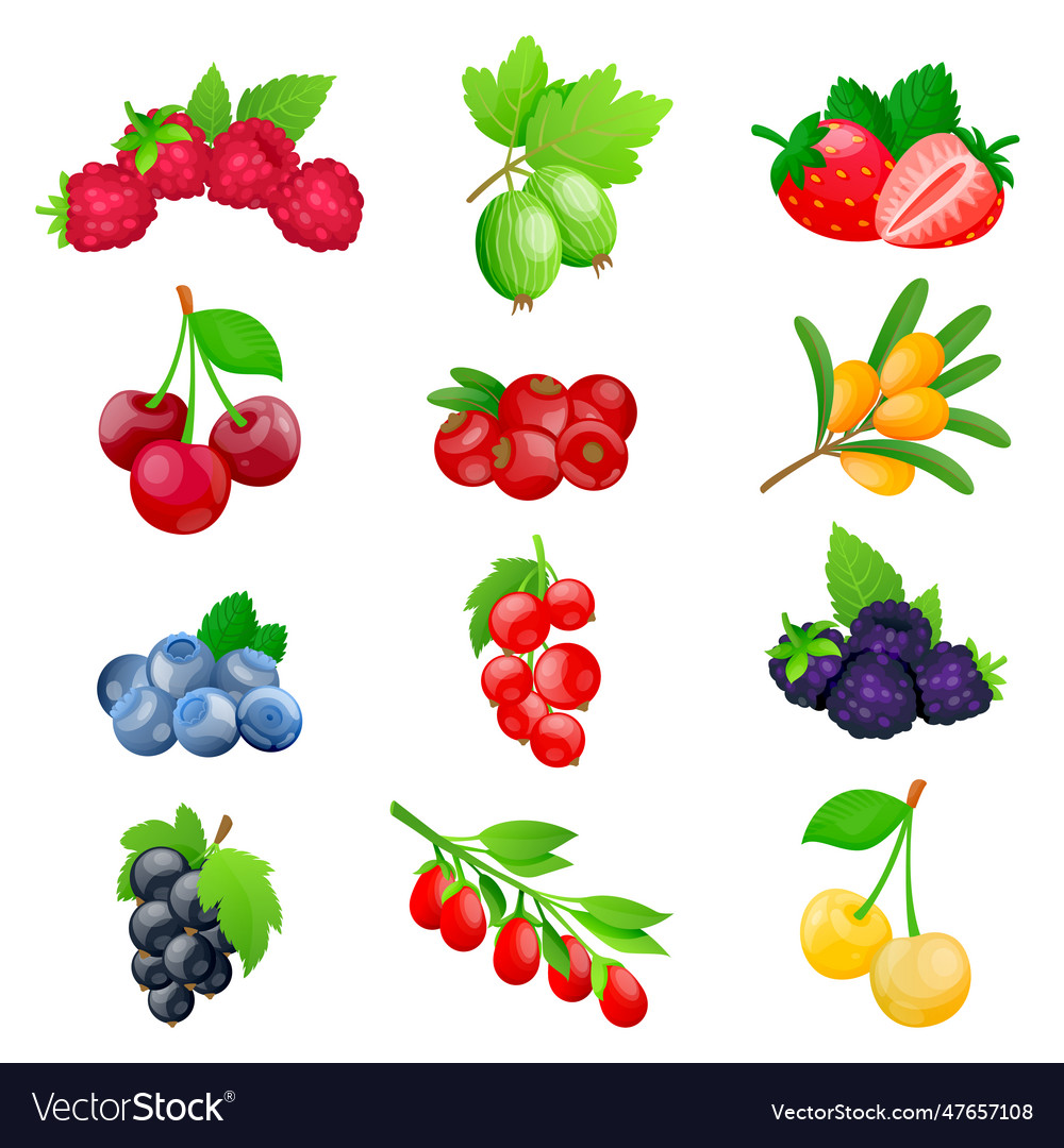 Juicy berries and fruits icon collection Vector Image