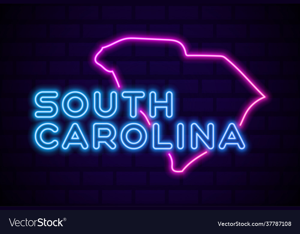 South carolina us state glowing neon lamp sign