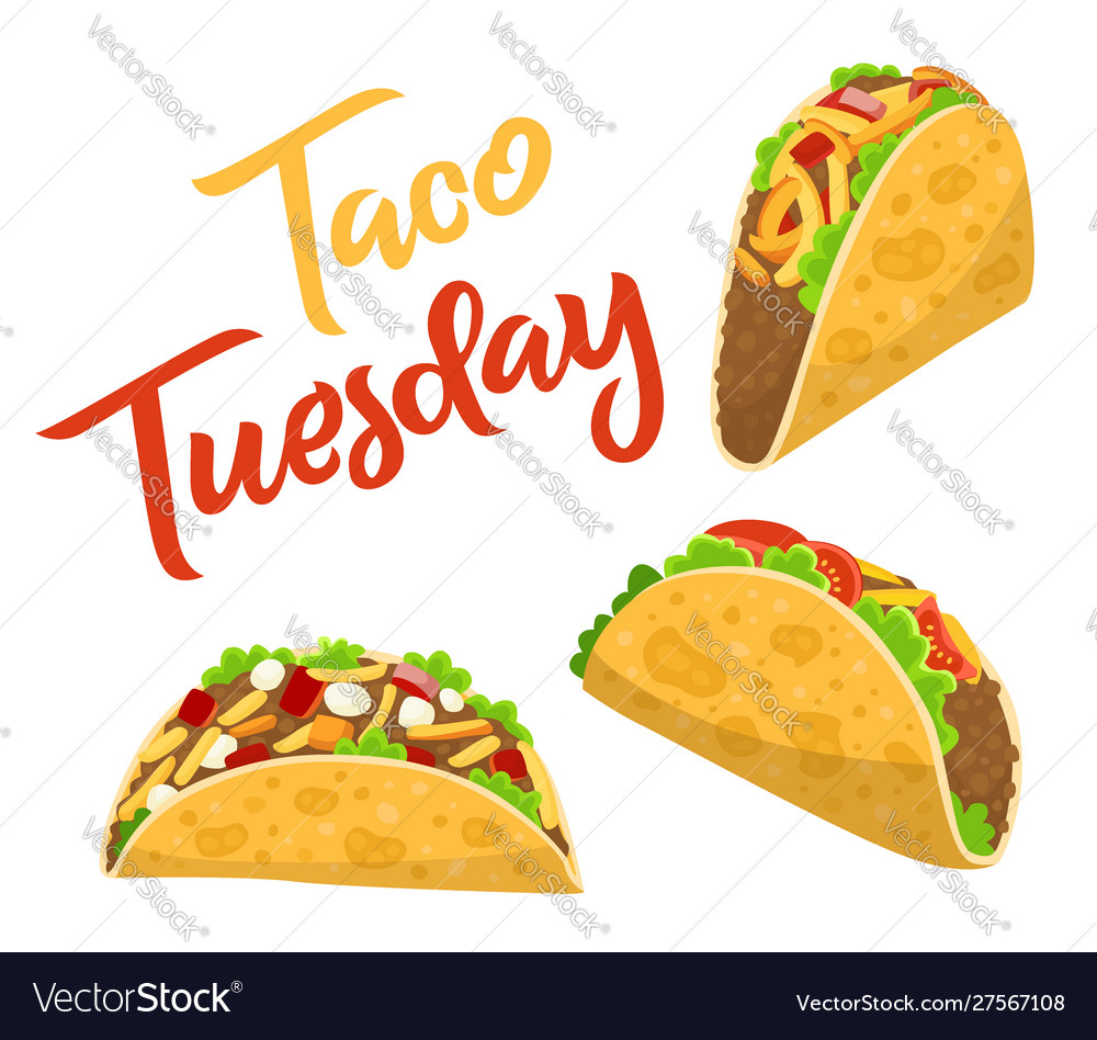 Traditional taco tuesday poster with delicious Vector Image