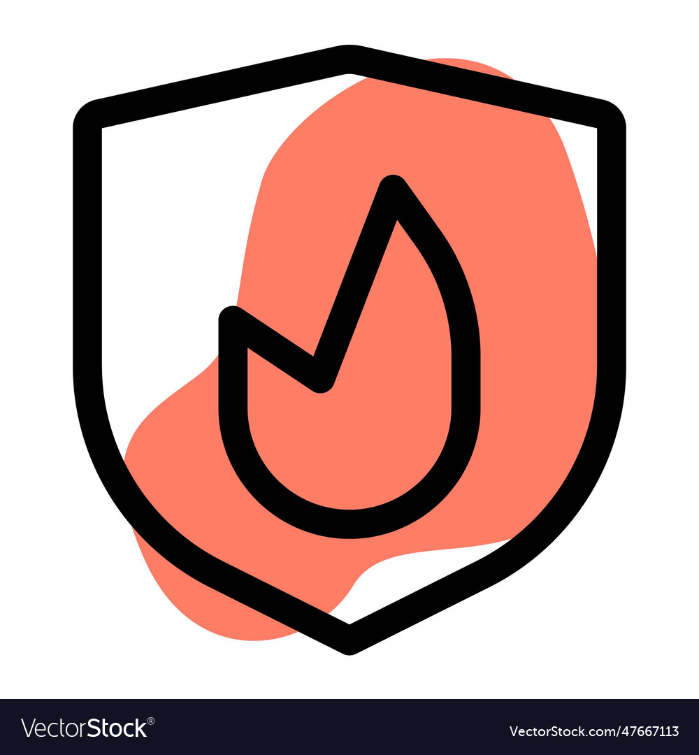 Firewall a type of network security device