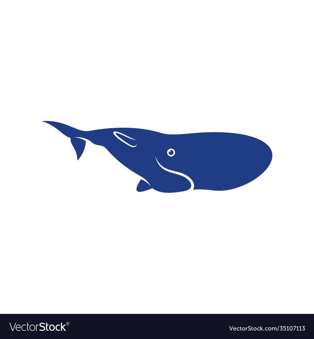 Whale design creative template