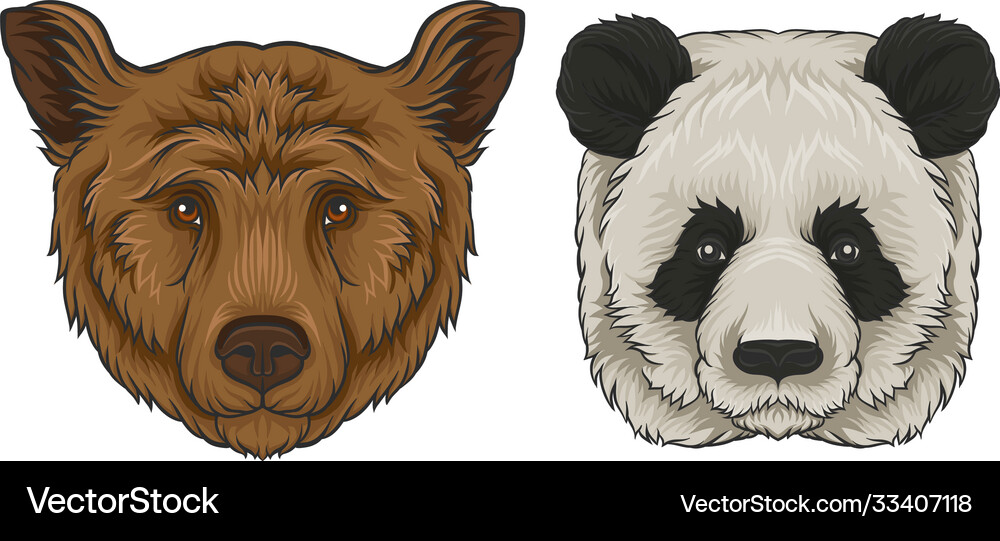 brown panda teddy