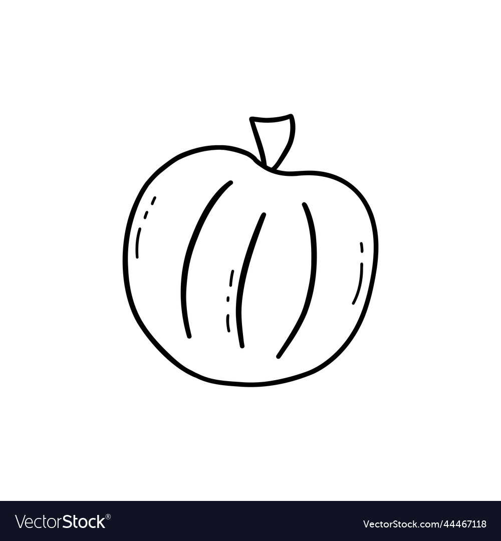 Round pumpkin doodle autumn harvesting isolated