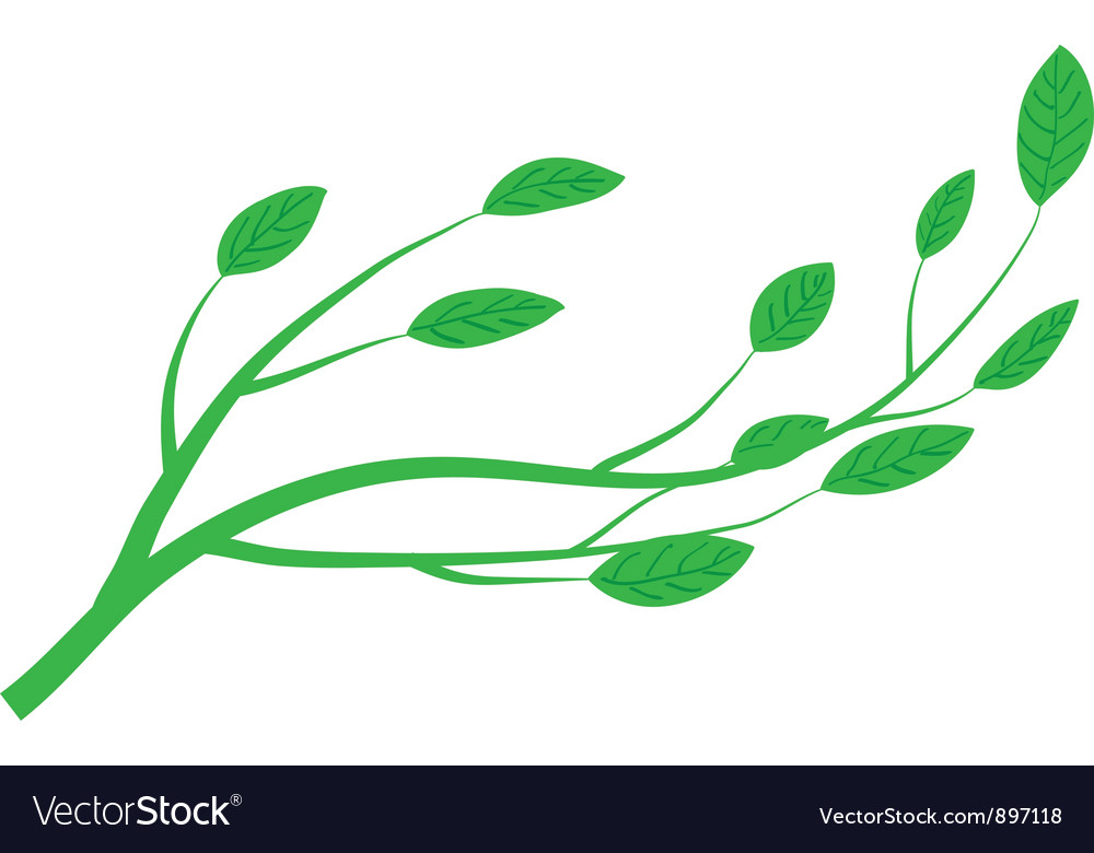 Tree Branch Close-up