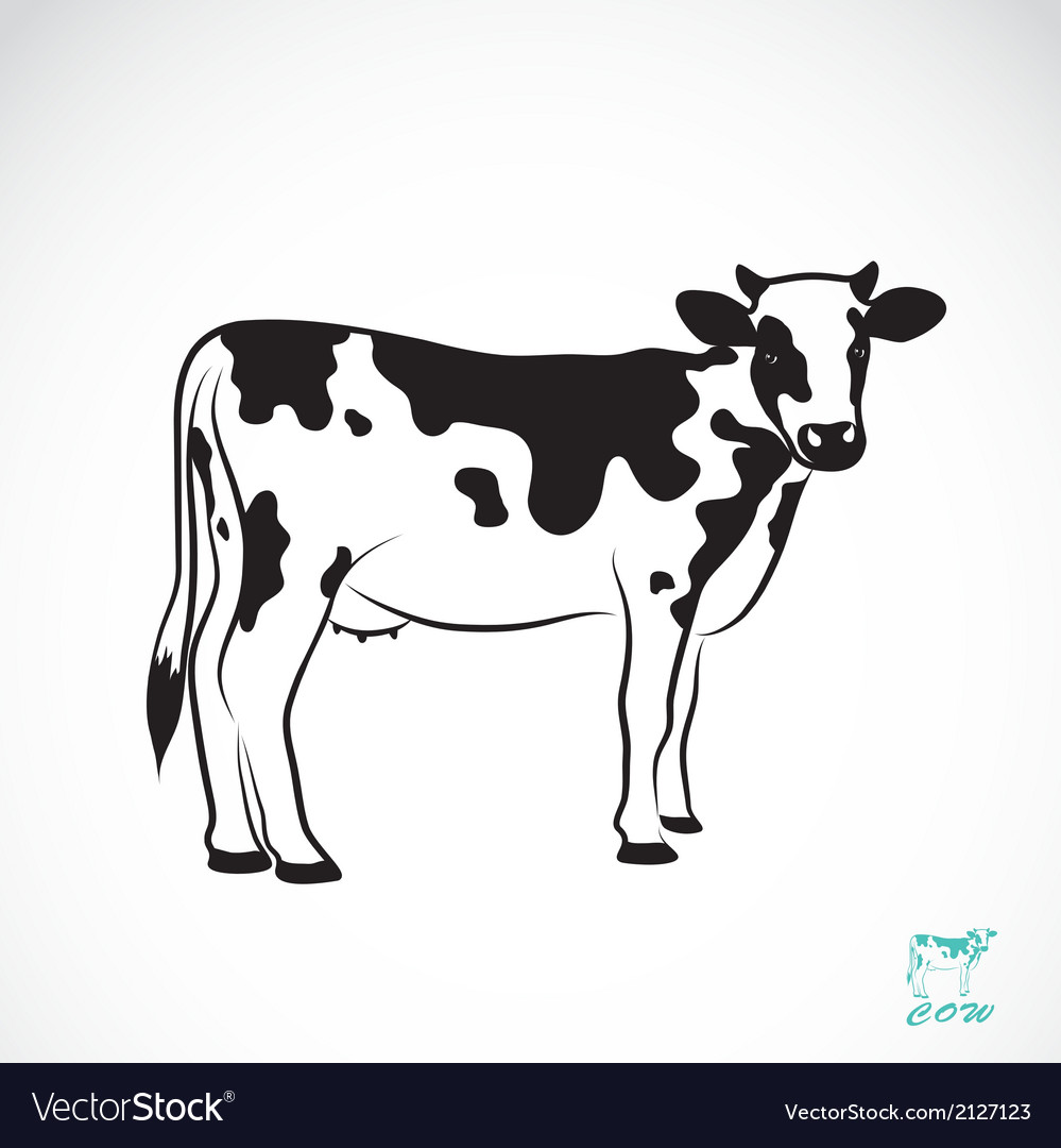 Cow Royalty Free Vector Image Vectorstock 6104