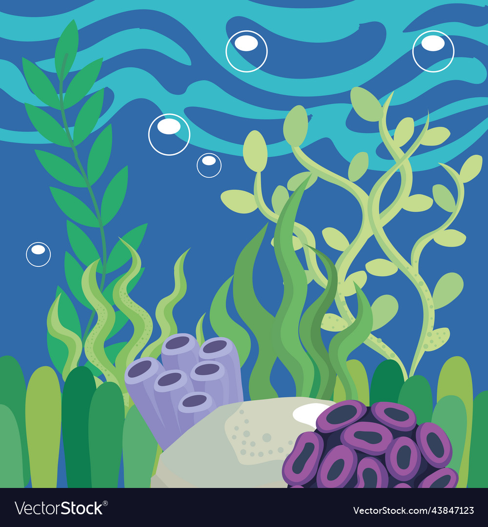 Undersea Coral Reef Royalty Free Vector Image - Vectorstock