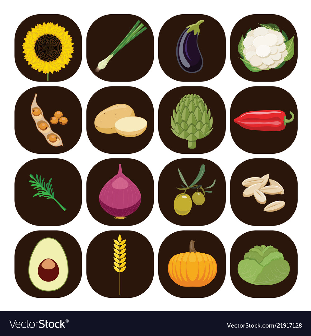 Set of different kinds vegetables