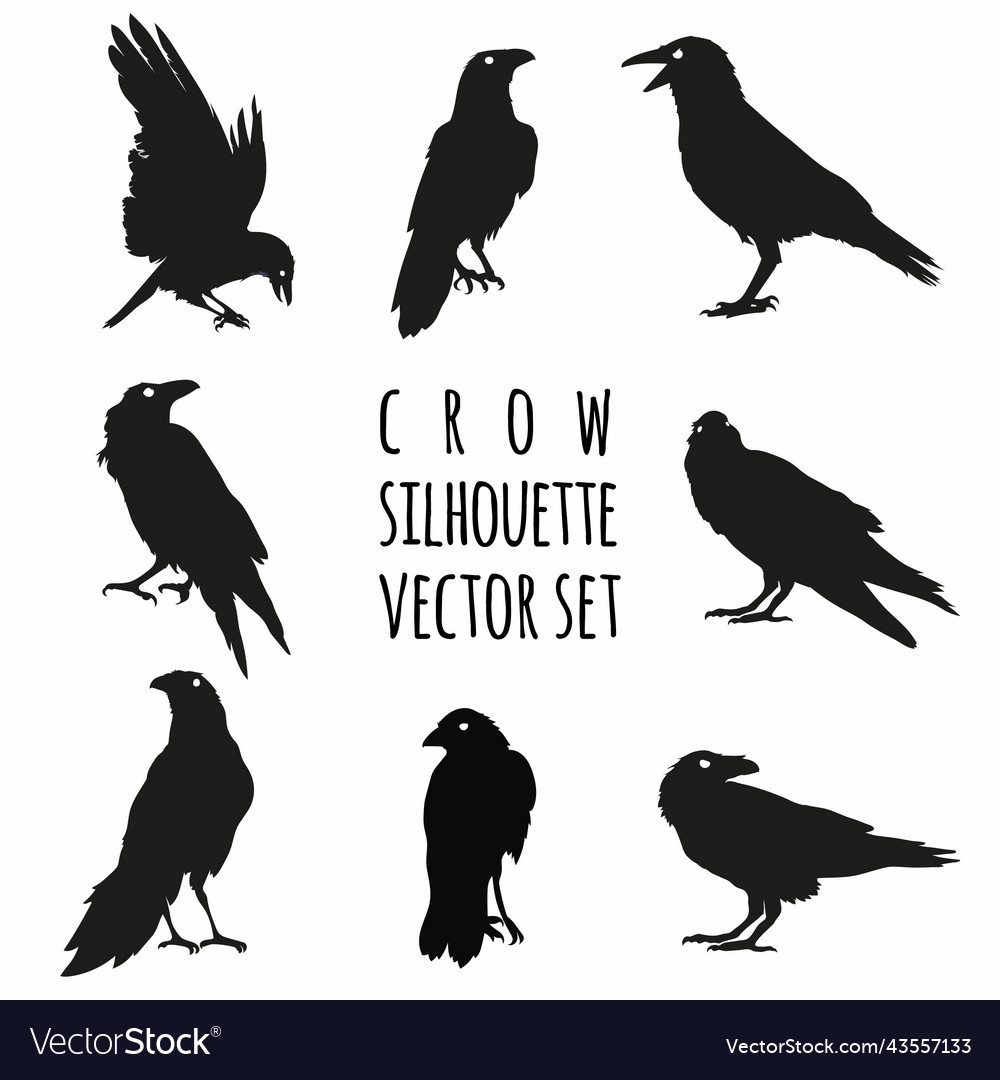 Crow silhouette set raven Royalty Free Vector Image