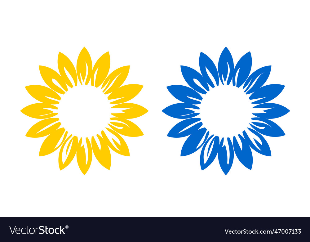 Sunflower on white Royalty Free Vector Image - VectorStock