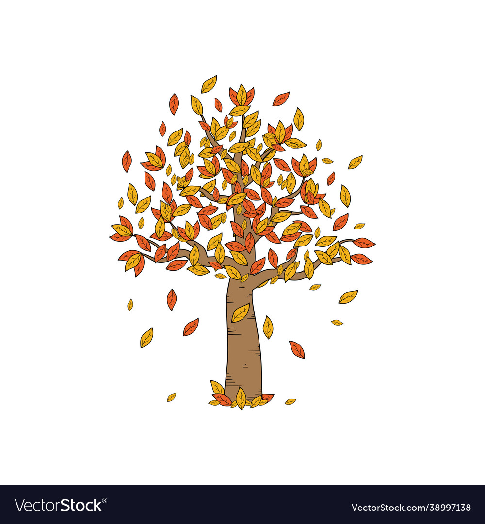 Fall autumn tree hand drawn design template Vector Image