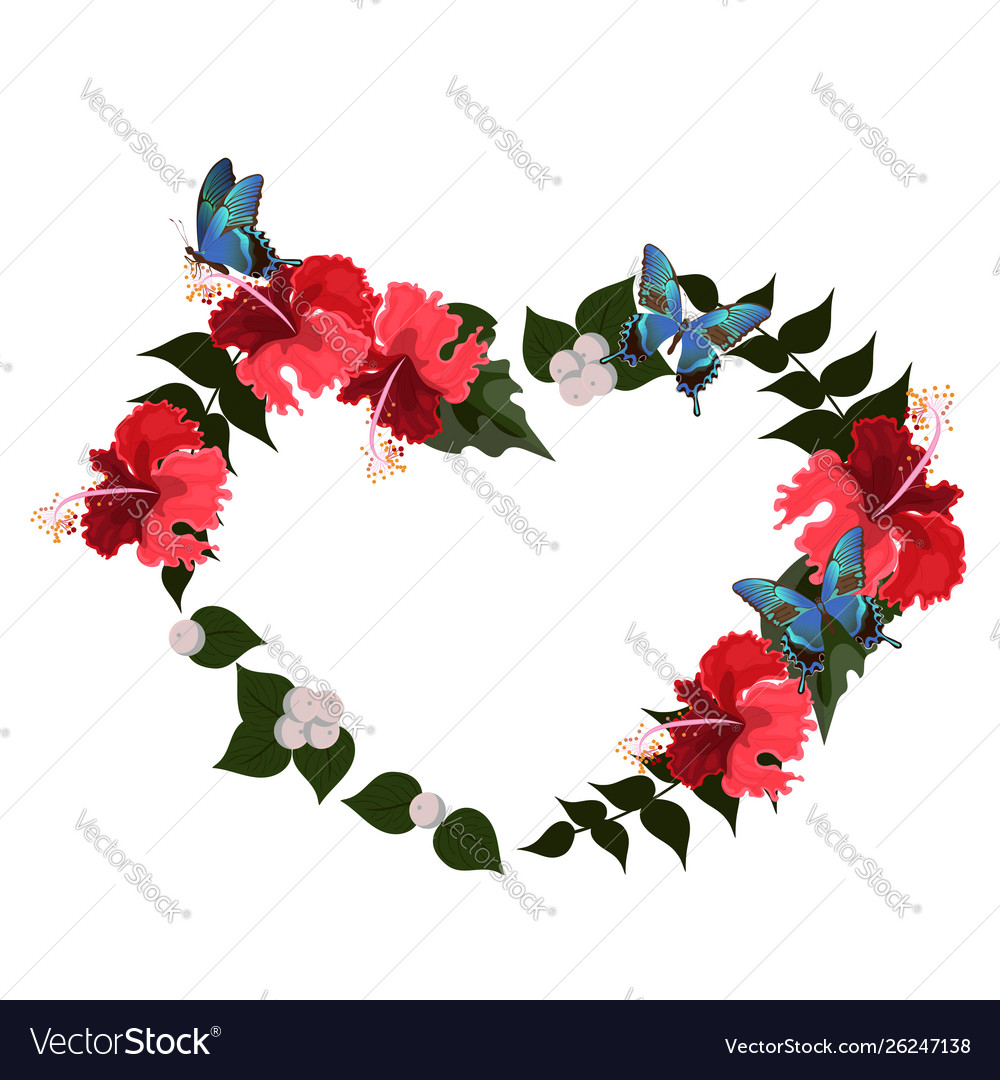 Rahmen Hibiscus in Form eines Herzens vector image Rahmen Hibiscus in Form eines Herzens