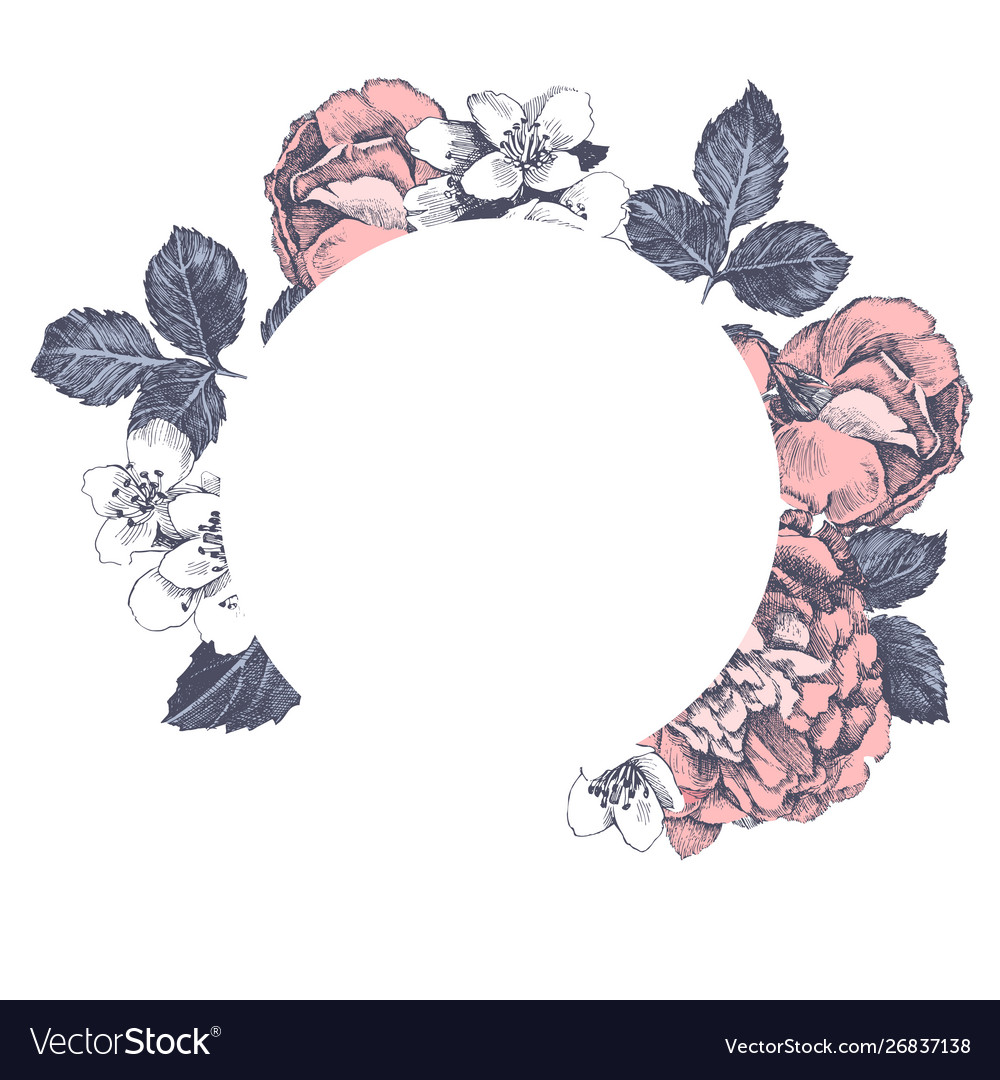 Retro frame with pink roses vector image Retro frame with pink roses