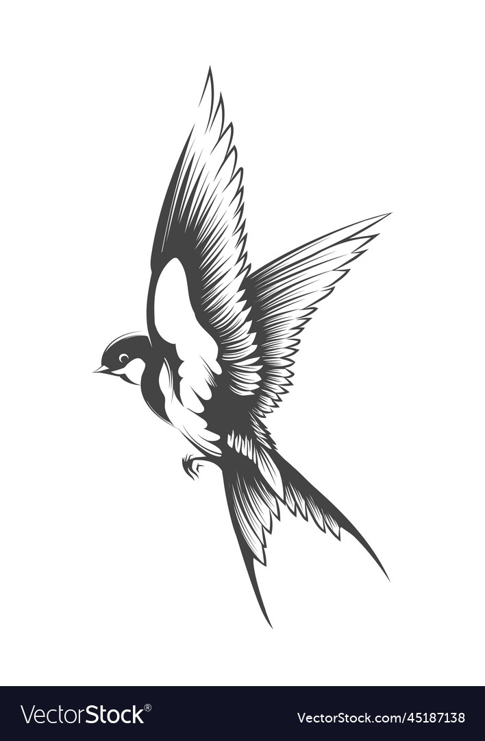 Old school swallow bird tattoo Royalty Free Vector Image