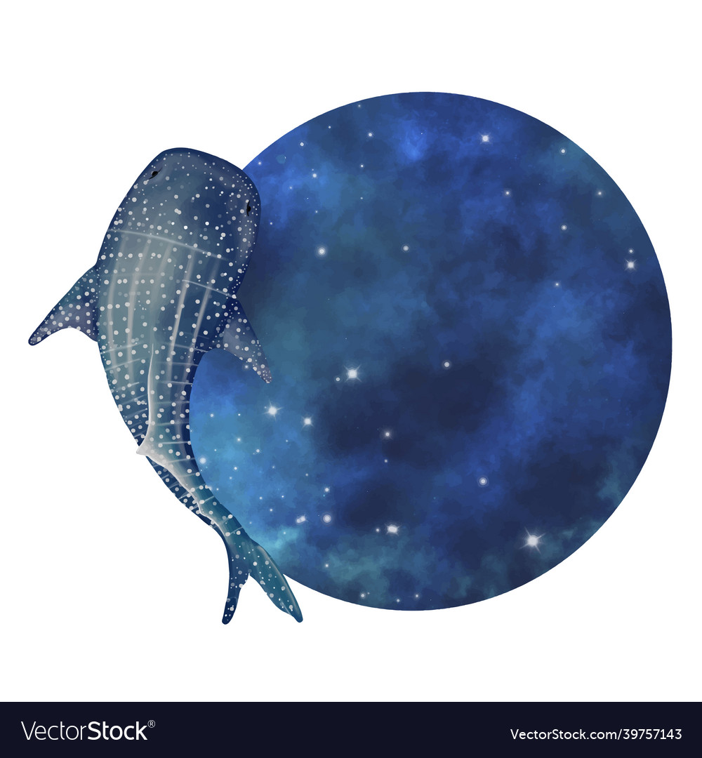 Whale shark with night sky circle banner vector image Whale shark with night sky circle banner