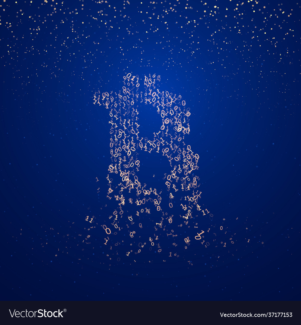 Bitcoin digital code visualization vector image Bitcoin digital code visualization