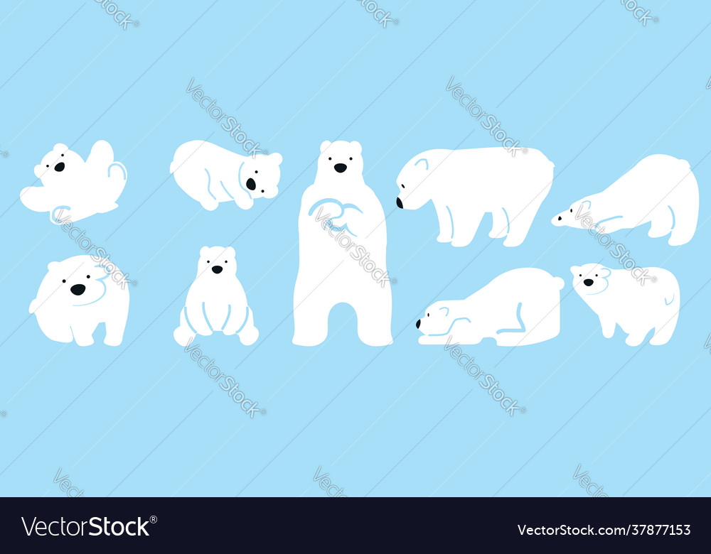 Cute polar bear funny character set Royalty Free Vector