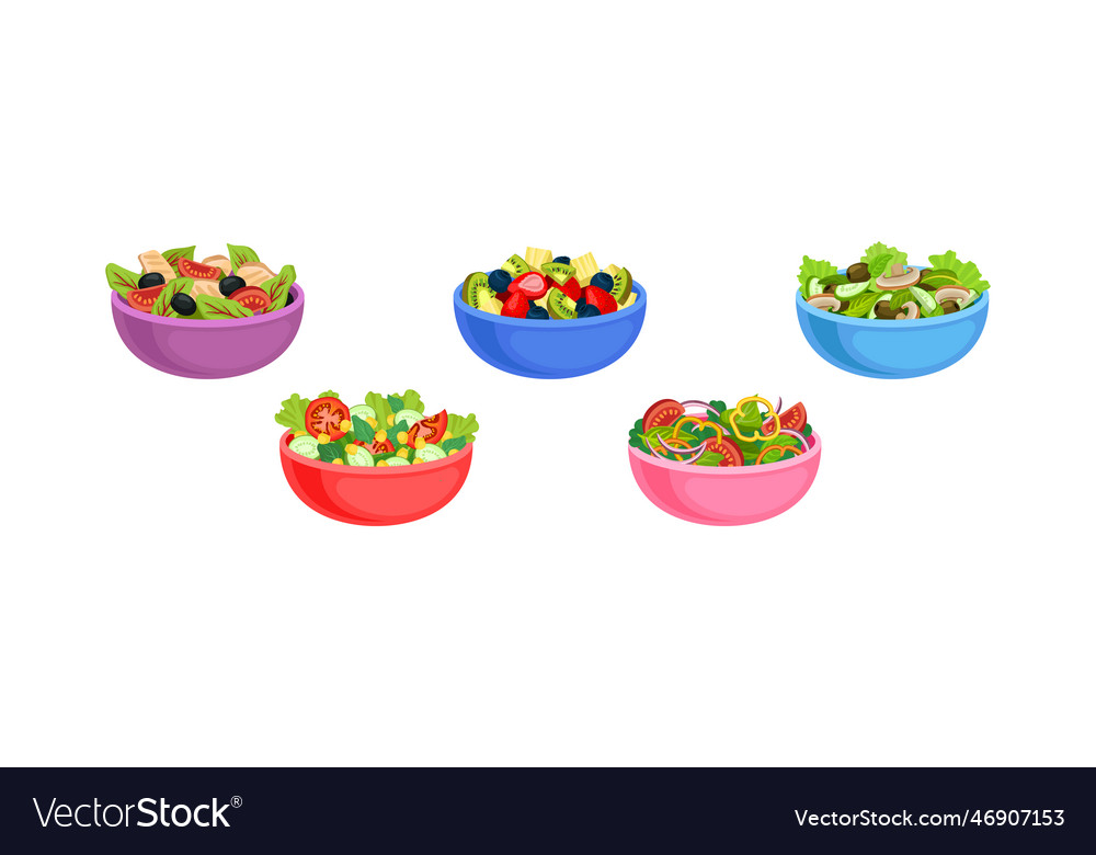 Fresh salads in bowl with mixed ingredients Vector Image