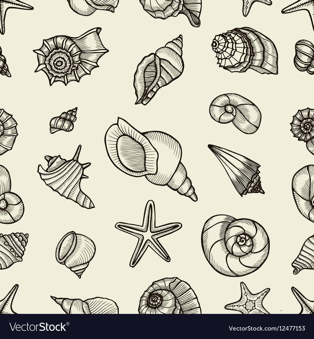 Seashell seamless pattern
