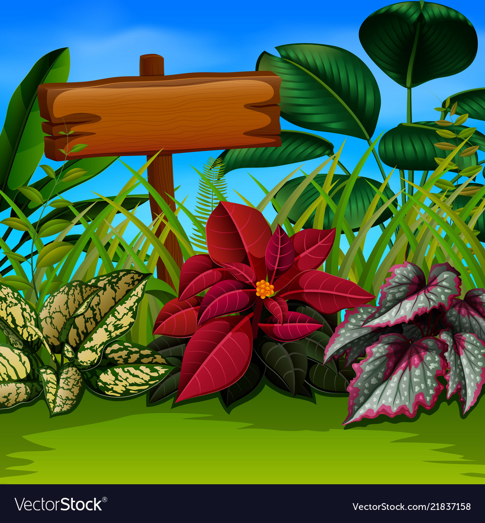 An nature wallpaper with the wooden board and Vector Image An nature wallpaper with the wooden board and Vector Image