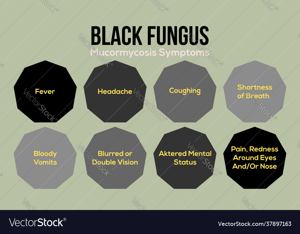 Black fungus disease mucormycosis symptoms Vector Image