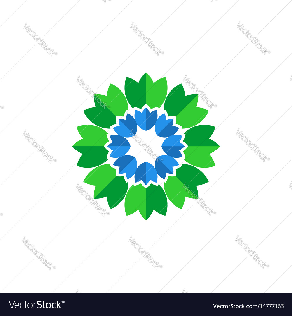 Flower leaf Royalty Free Vector Image - VectorStock