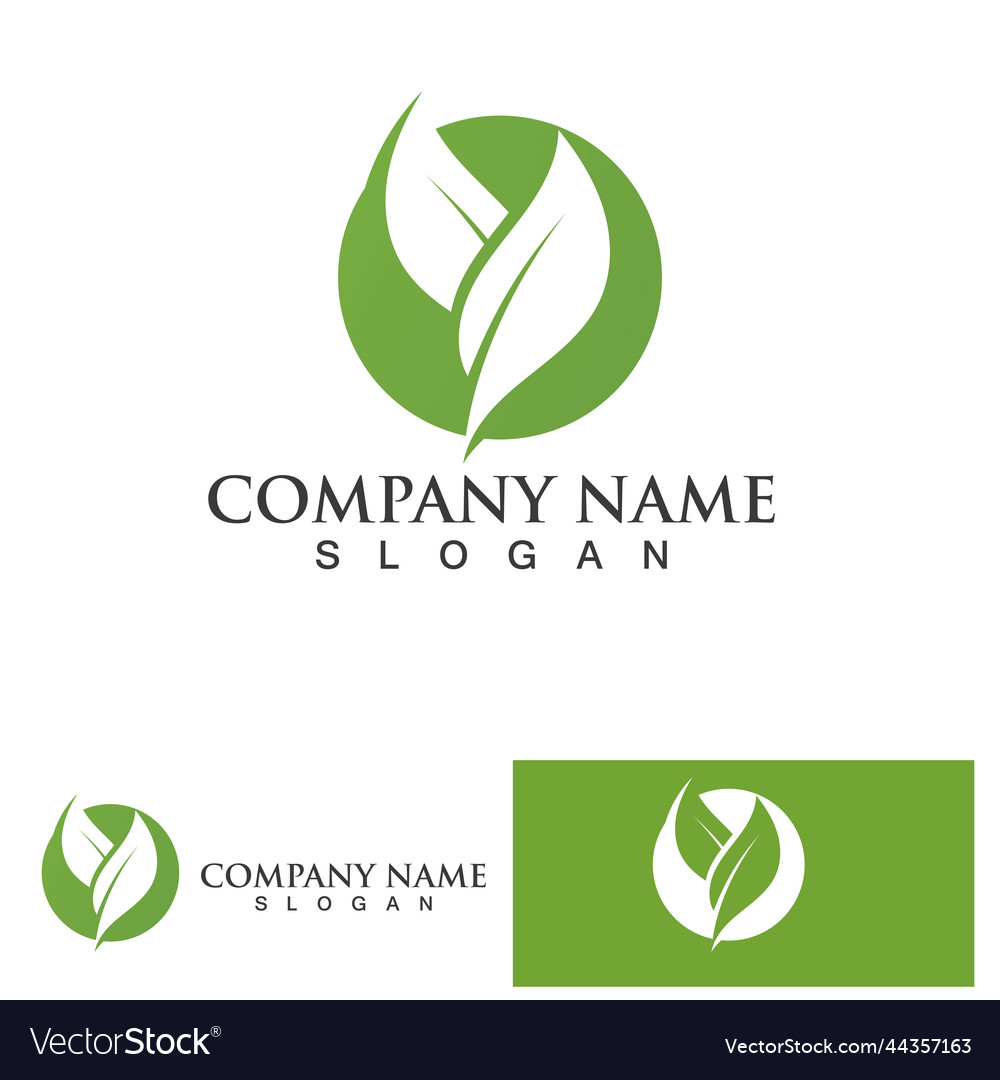 Green leaf logo Royalty Free Vector Image - VectorStock