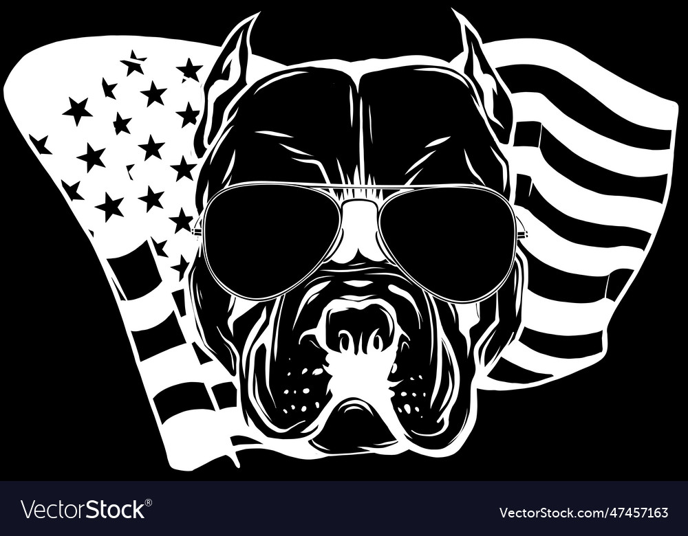 Head dog in white line on black background Vector Image