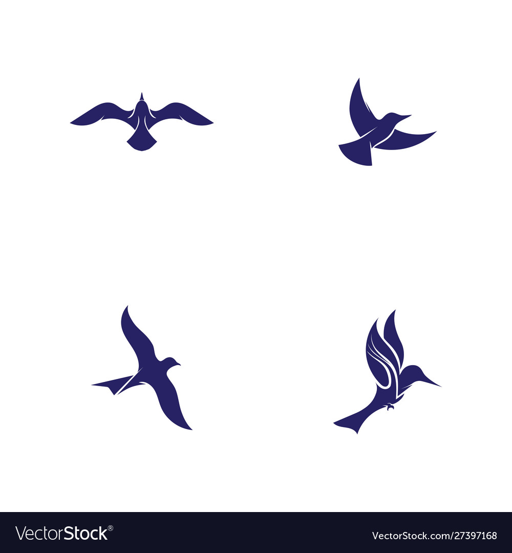 Bird fly logo template