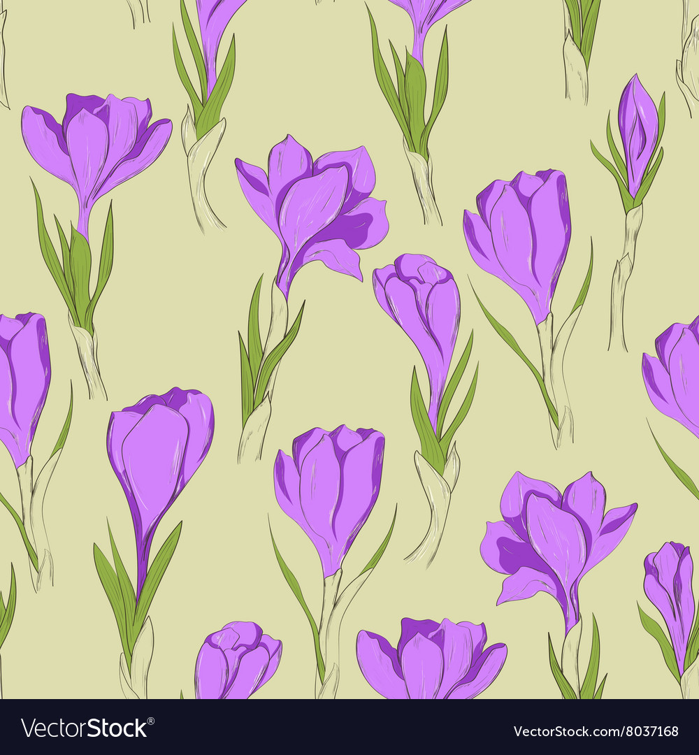 Crocus seamless pattern 3