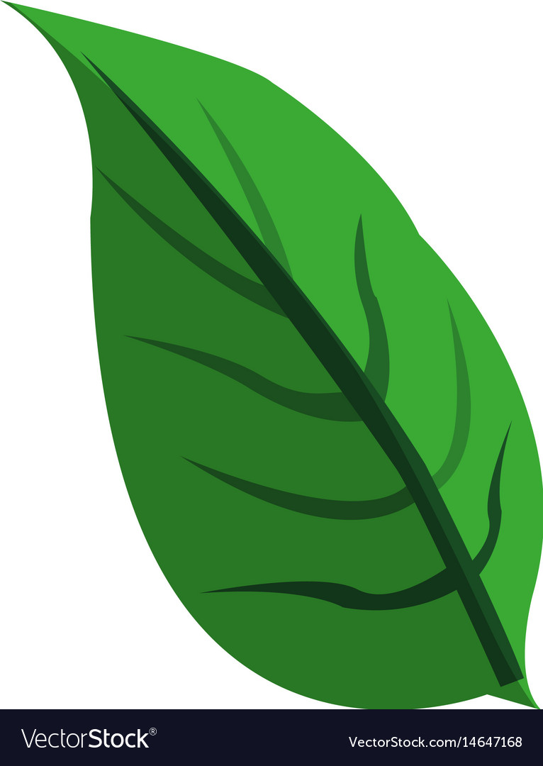 Green textured leaf icon image Royalty Free Vector Image