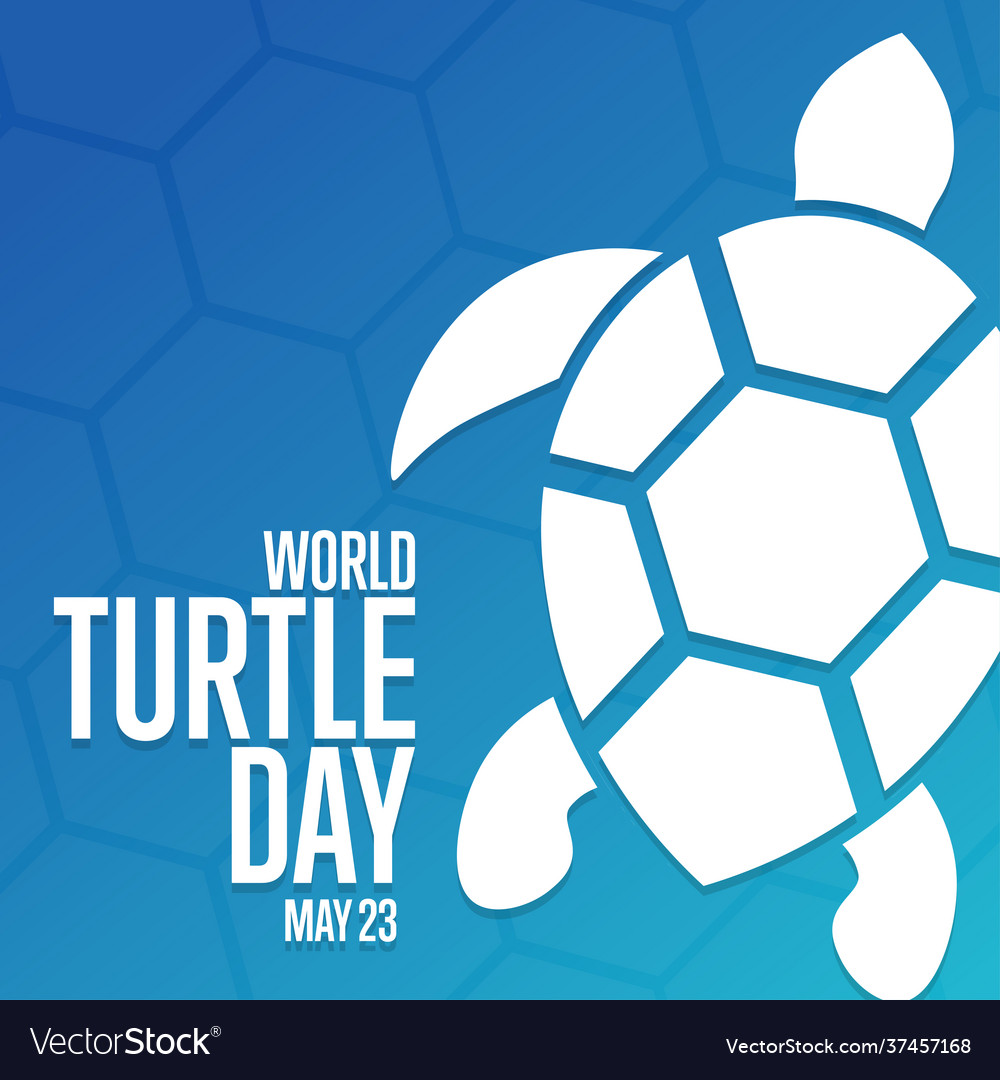 World turtle day may 23 holiday concept Royalty Free Vector