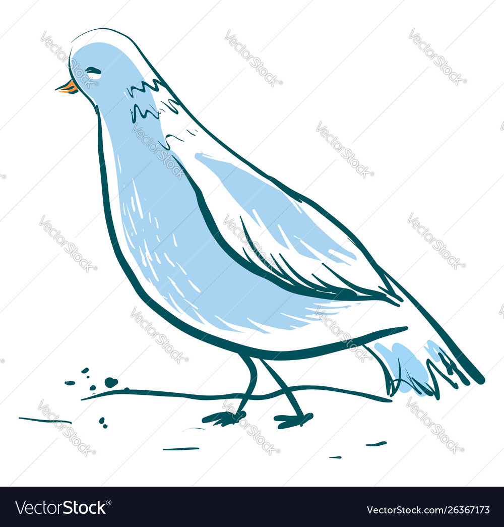 Beautiful blue dove on white background Royalty Free Vector