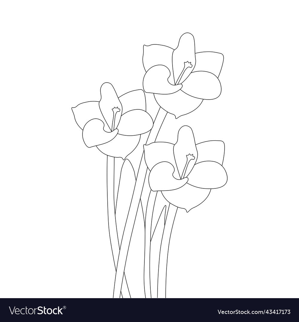 Blooming flower branch of bouquet element