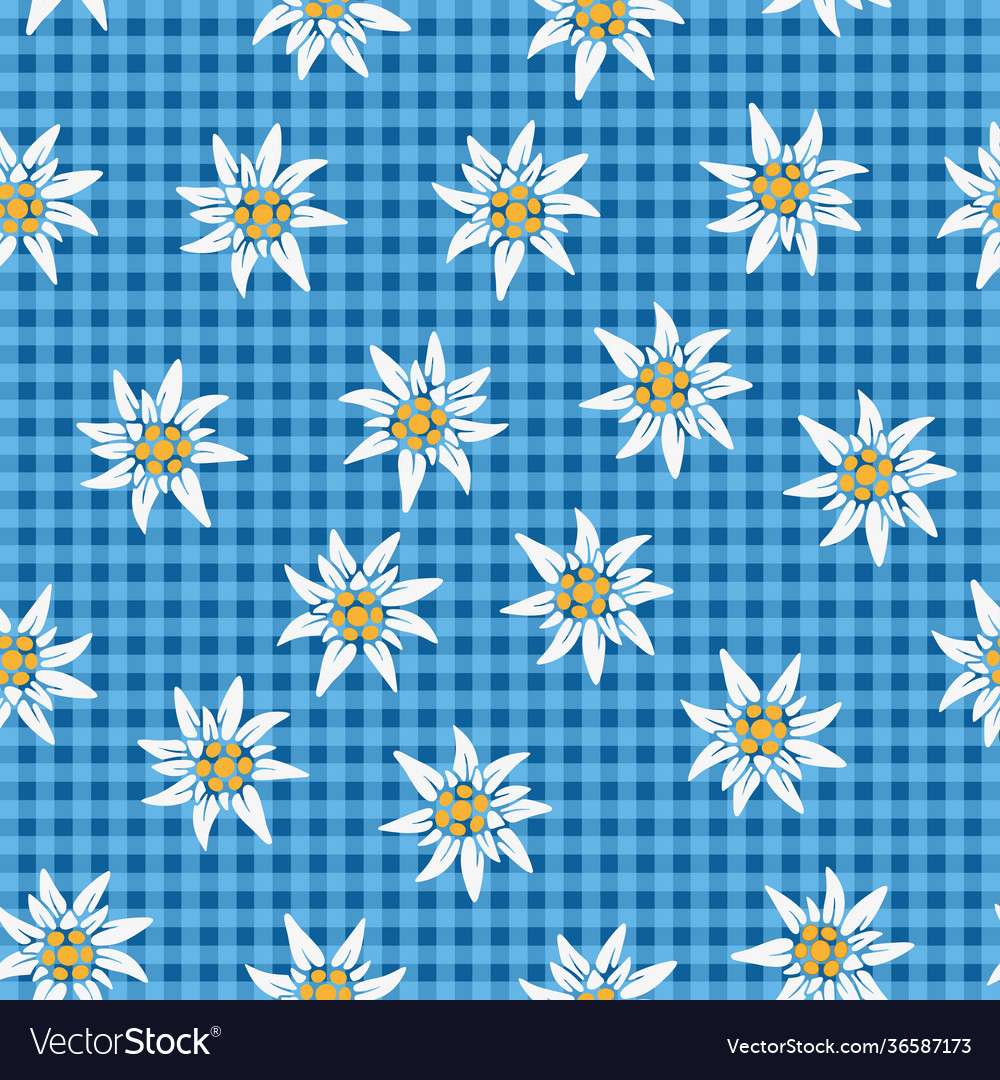 Seamless edelweiss background