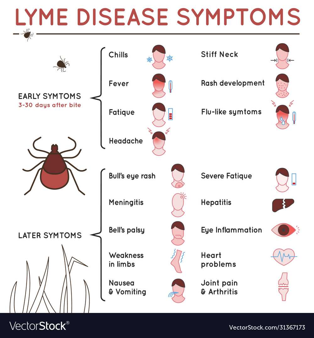 Tick disease poster