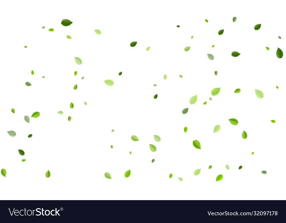 Mint foliage nature banner abstract leaf